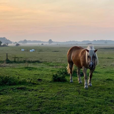 Kleine Auszeit Lejlighed Kluis Eksteriør billede